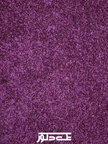 خدمات نمایشگاهی