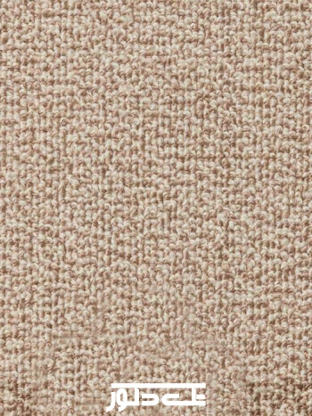 خدمات نمایشگاهی