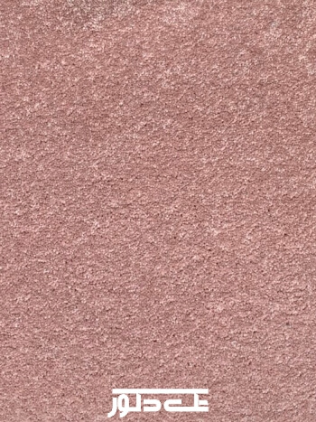 خدمات نمایشگاهی