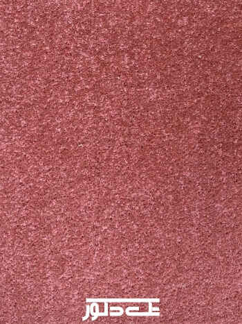 خدمات نمایشگاهی