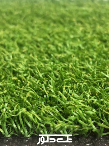 خدمات نمایشگاهی