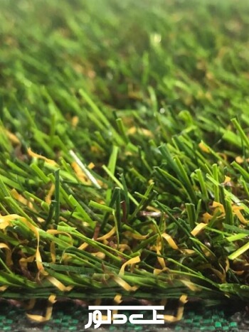 خدمات نمایشگاهی