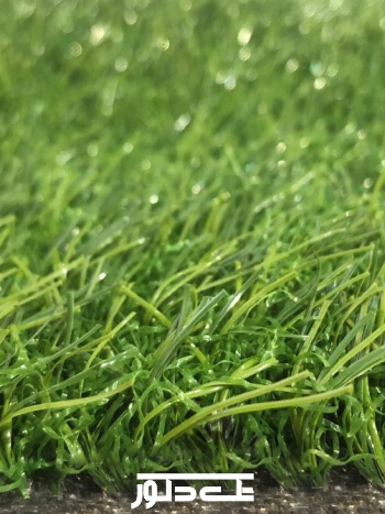 خدمات نمایشگاهی