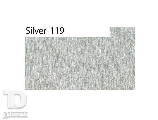 Silver-119