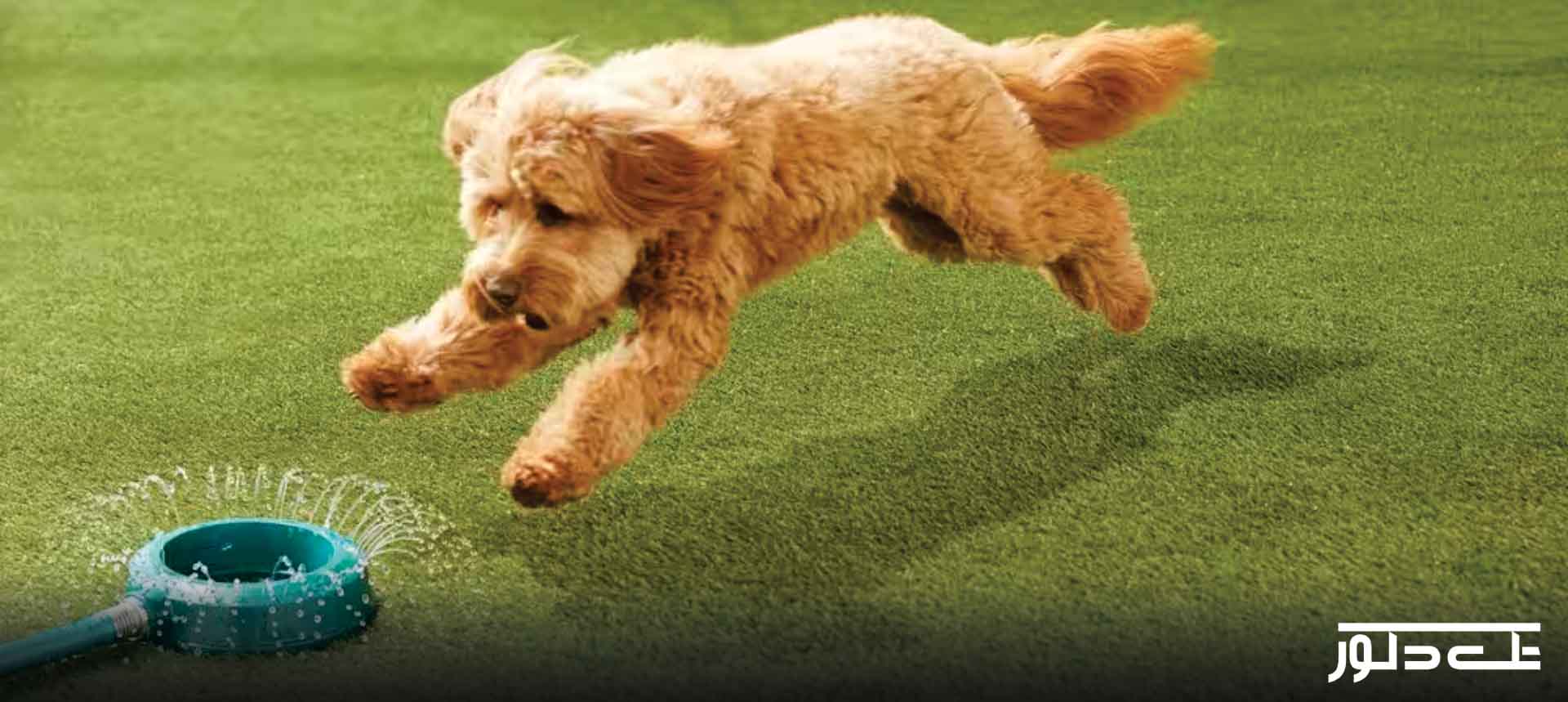 کاربرد های چمن مصنوعی و نحوه نصب آن