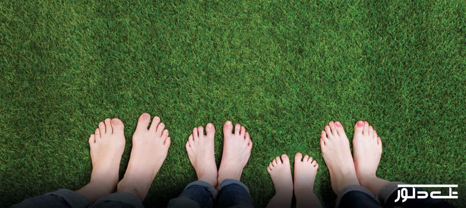 انواع چمن مصنوعی و ویژگی های آن ها