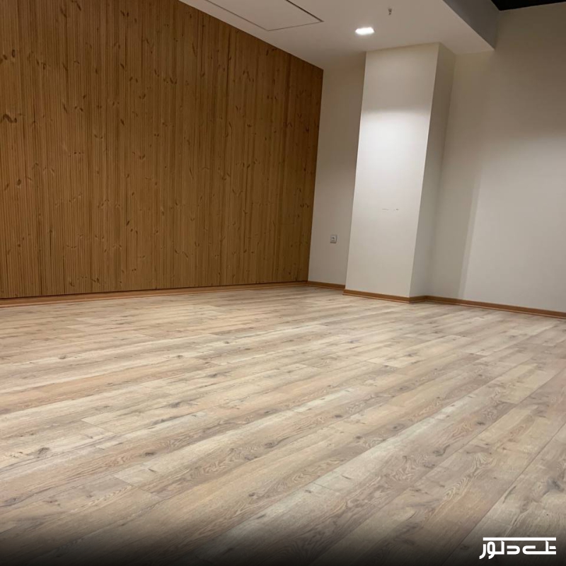 پروژه ملاصدرا