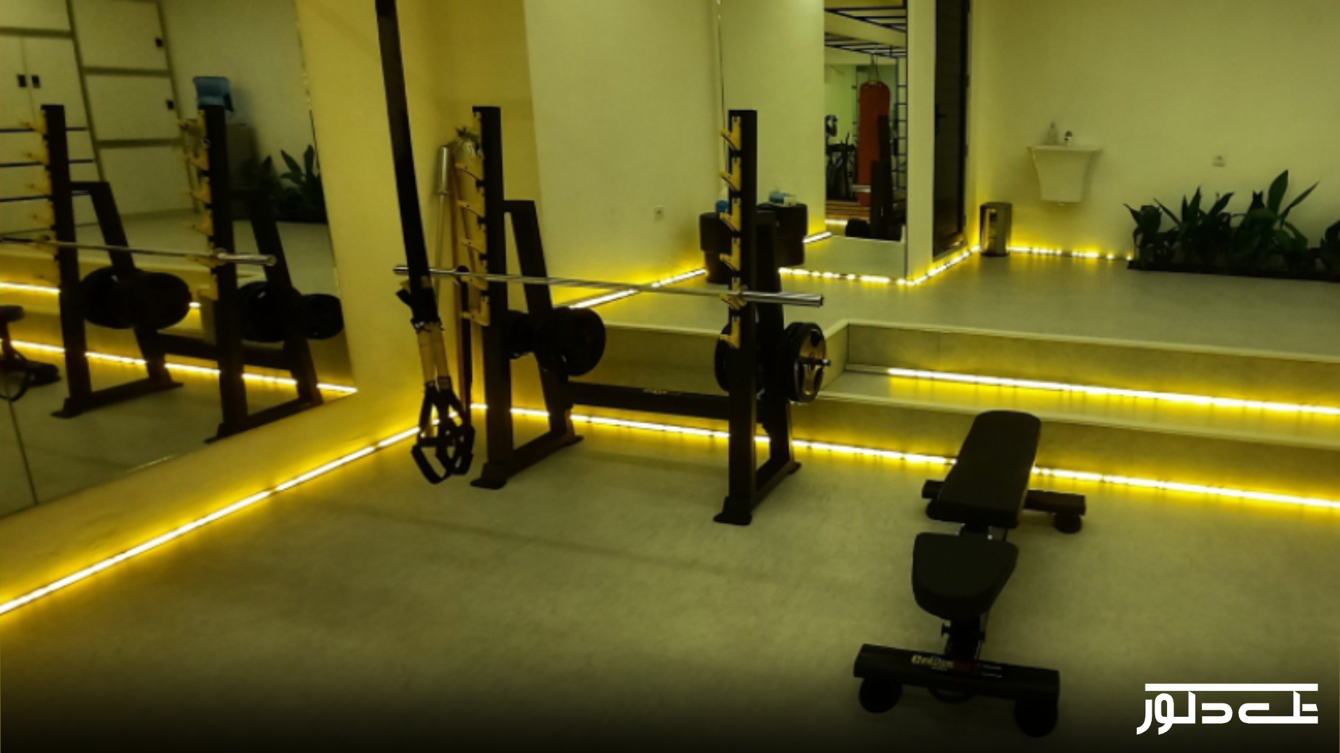 پروژه سالن ورزشی راک